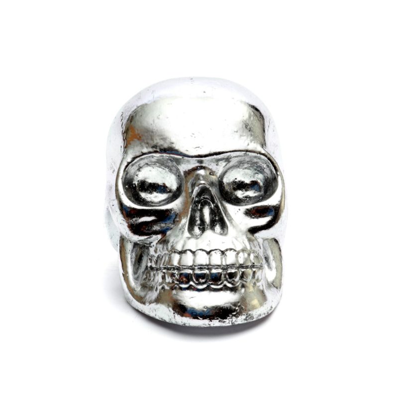 The Resin Skull Head Silver M