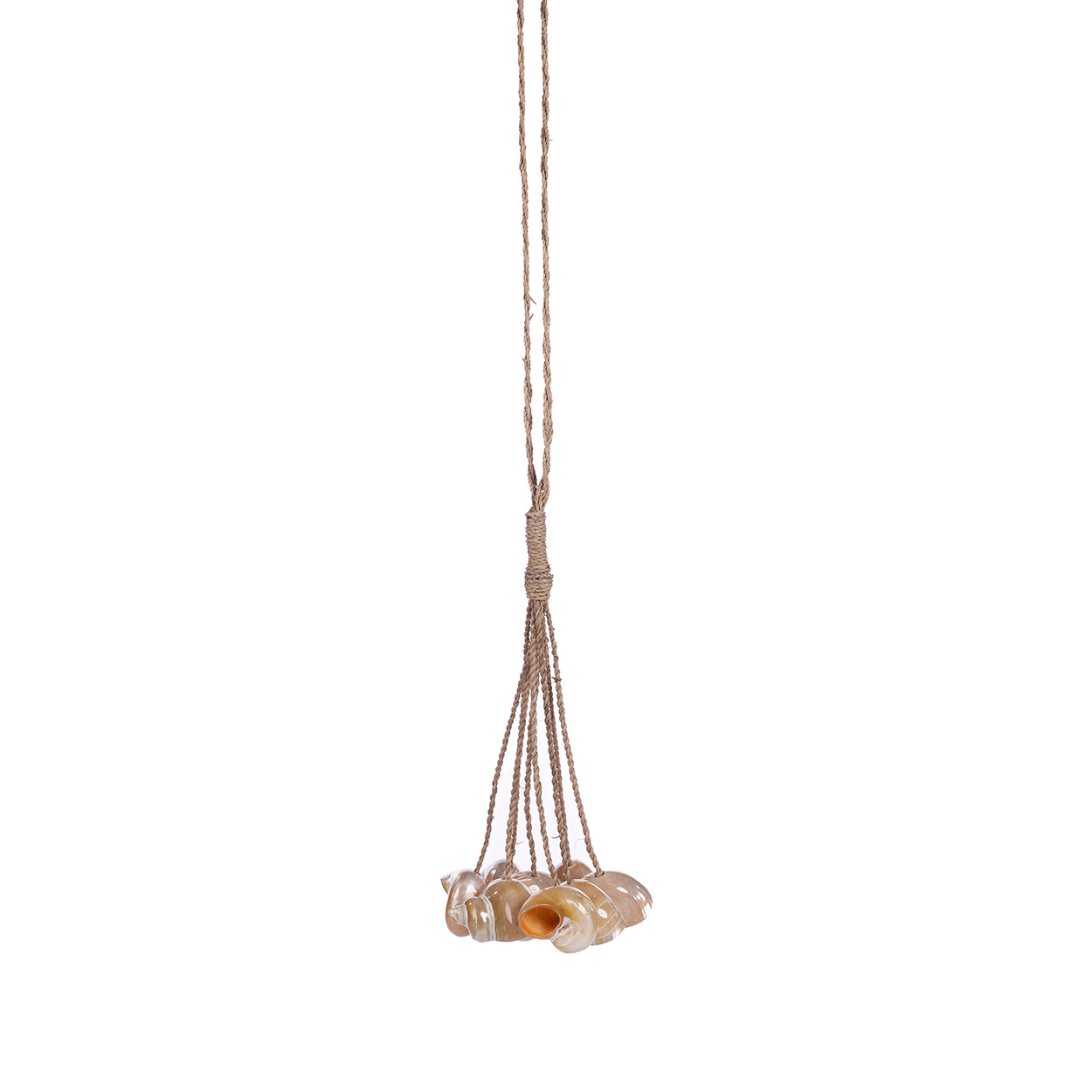 The Conch Shell Tassel, Natural