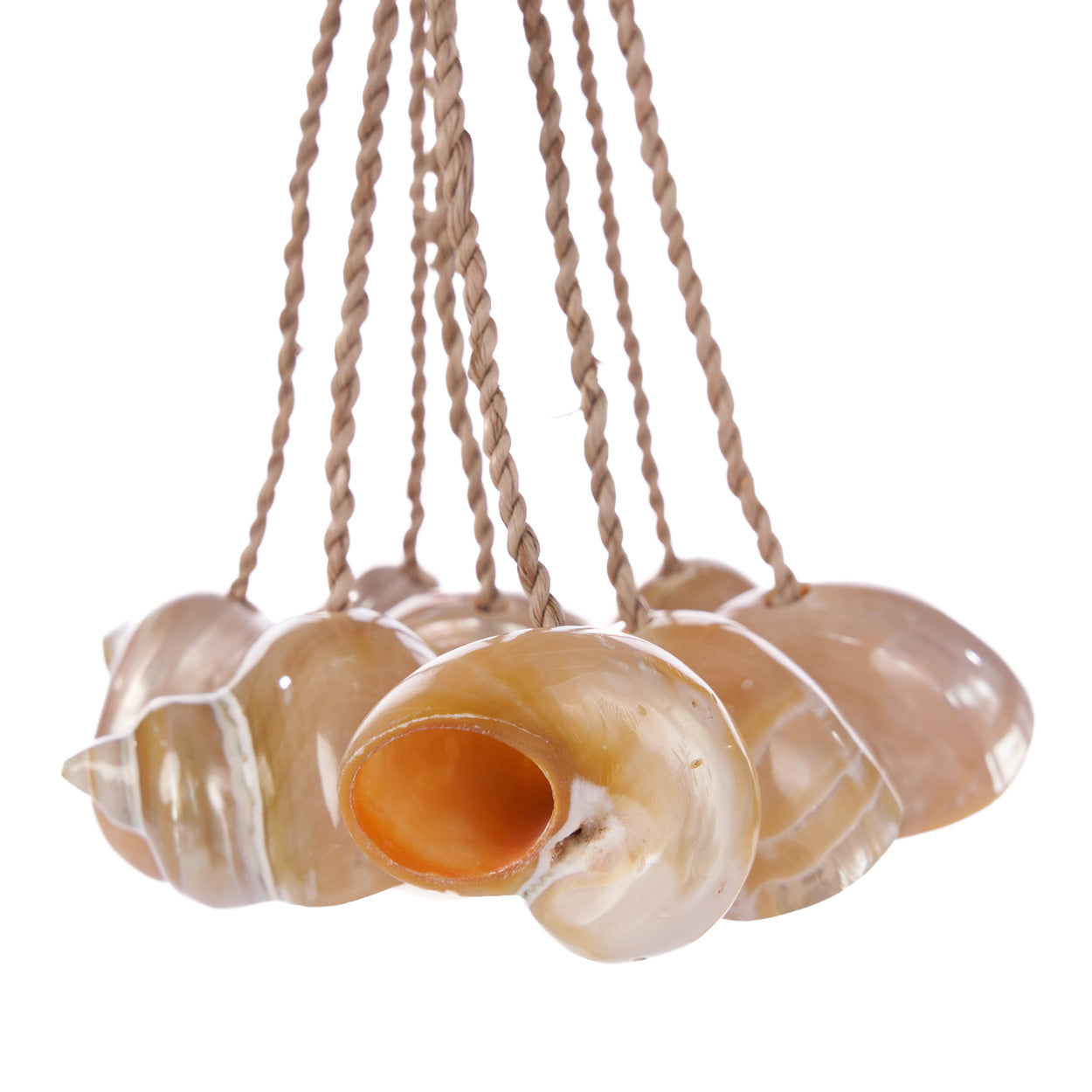 The Conch Shell Tassel, Natural — 3