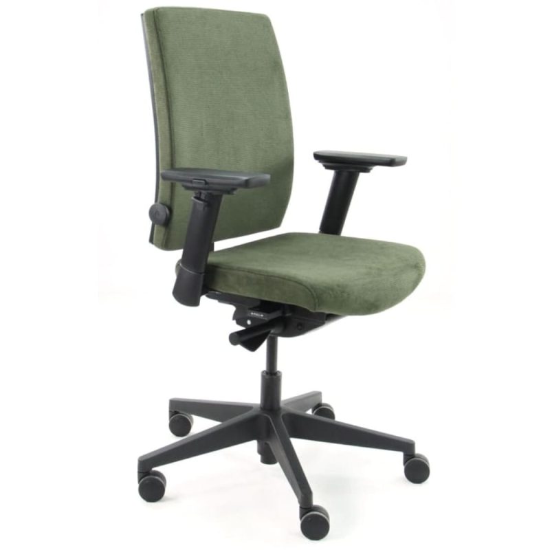 Workliving Eva Comfort Ergonomic Office Chair, Green Regain, (N)EN 1335