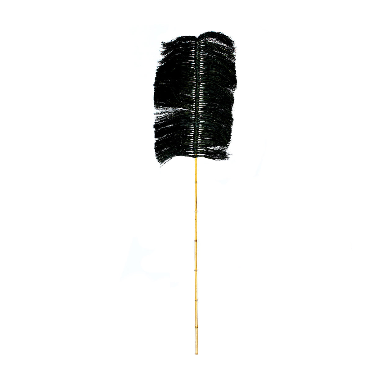 The Raffia Palmeira, Black