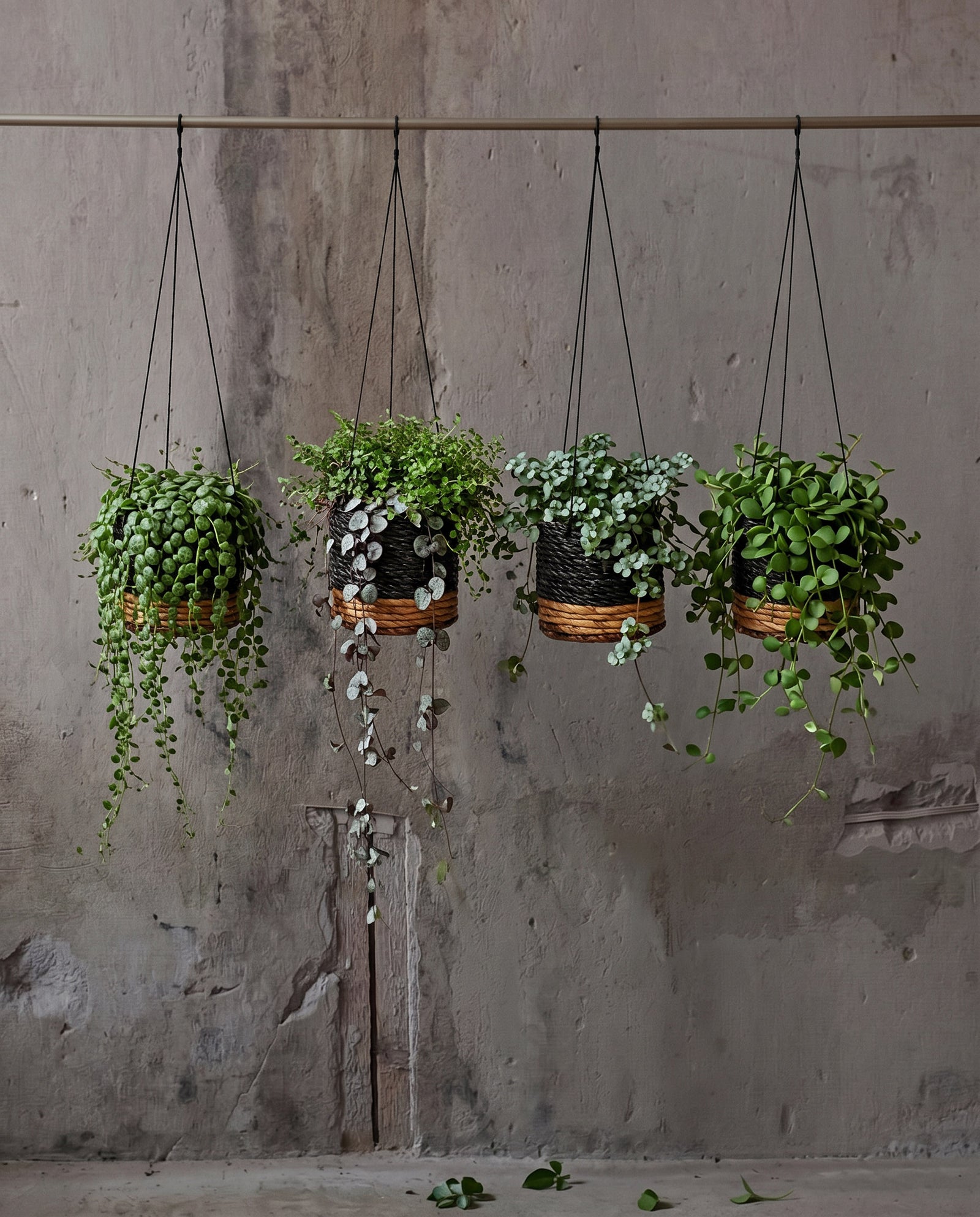 The Banana Plant Hanger, Natural Black, S — 2