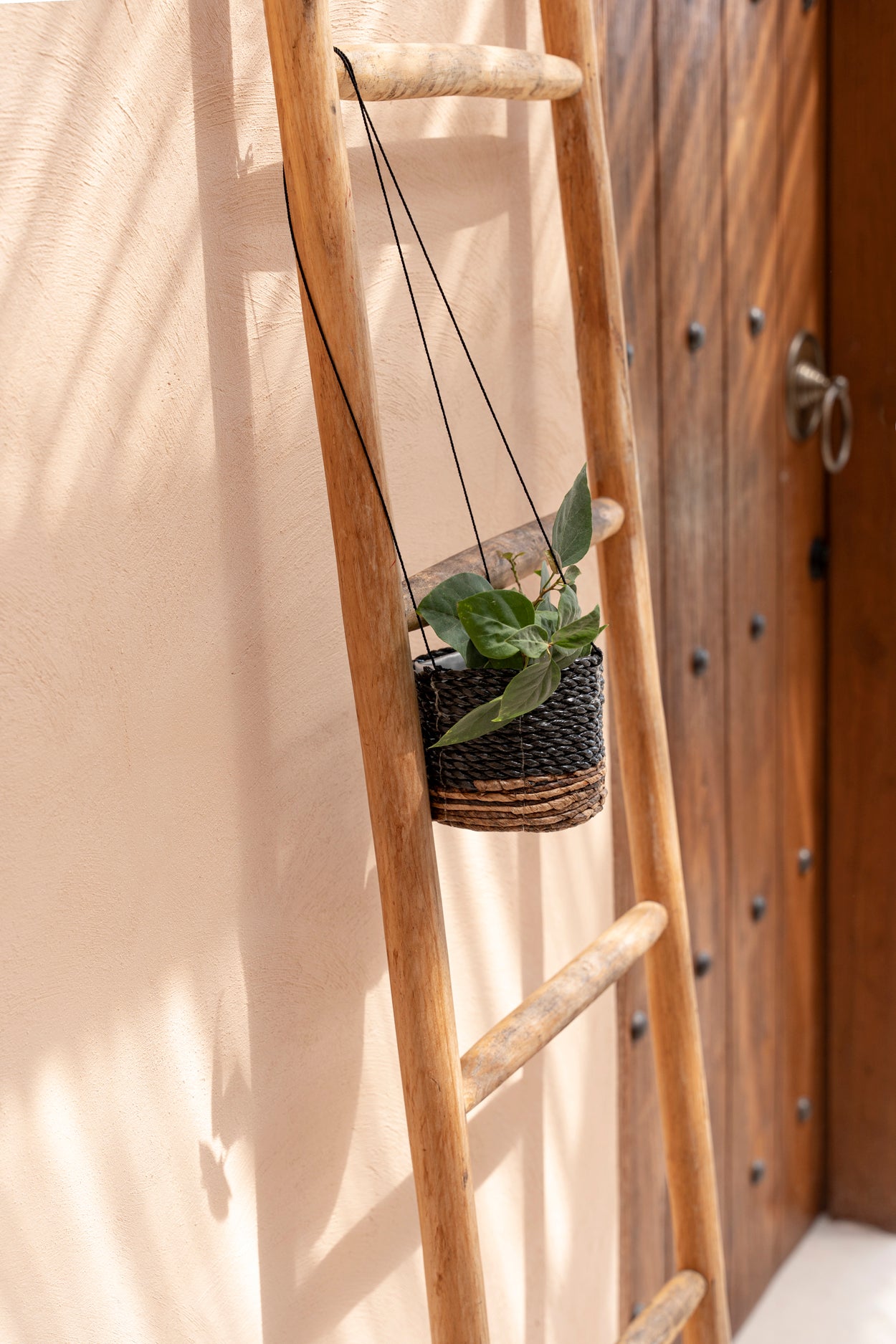The Banana Plant Hanger, Natural Black, S — 4