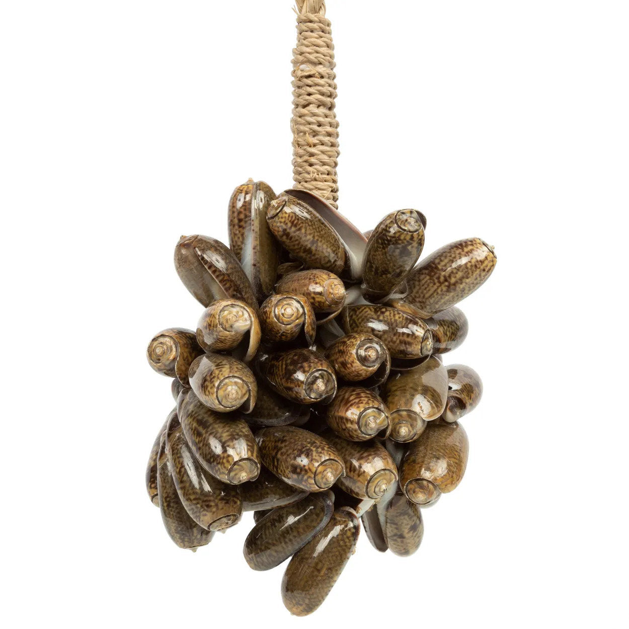 The Brown Cowrie Shell Tassel — 7