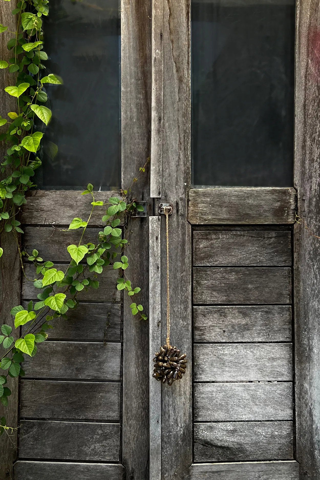 The Brown Cowrie Shell Tassel — 8